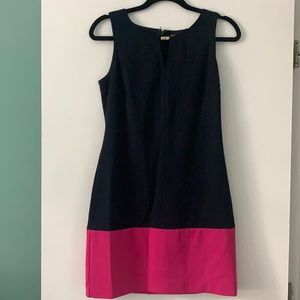 Banana Republic Two-toned Dress
